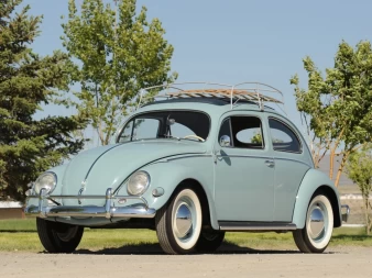 Volkswagen Beetle – photo 23