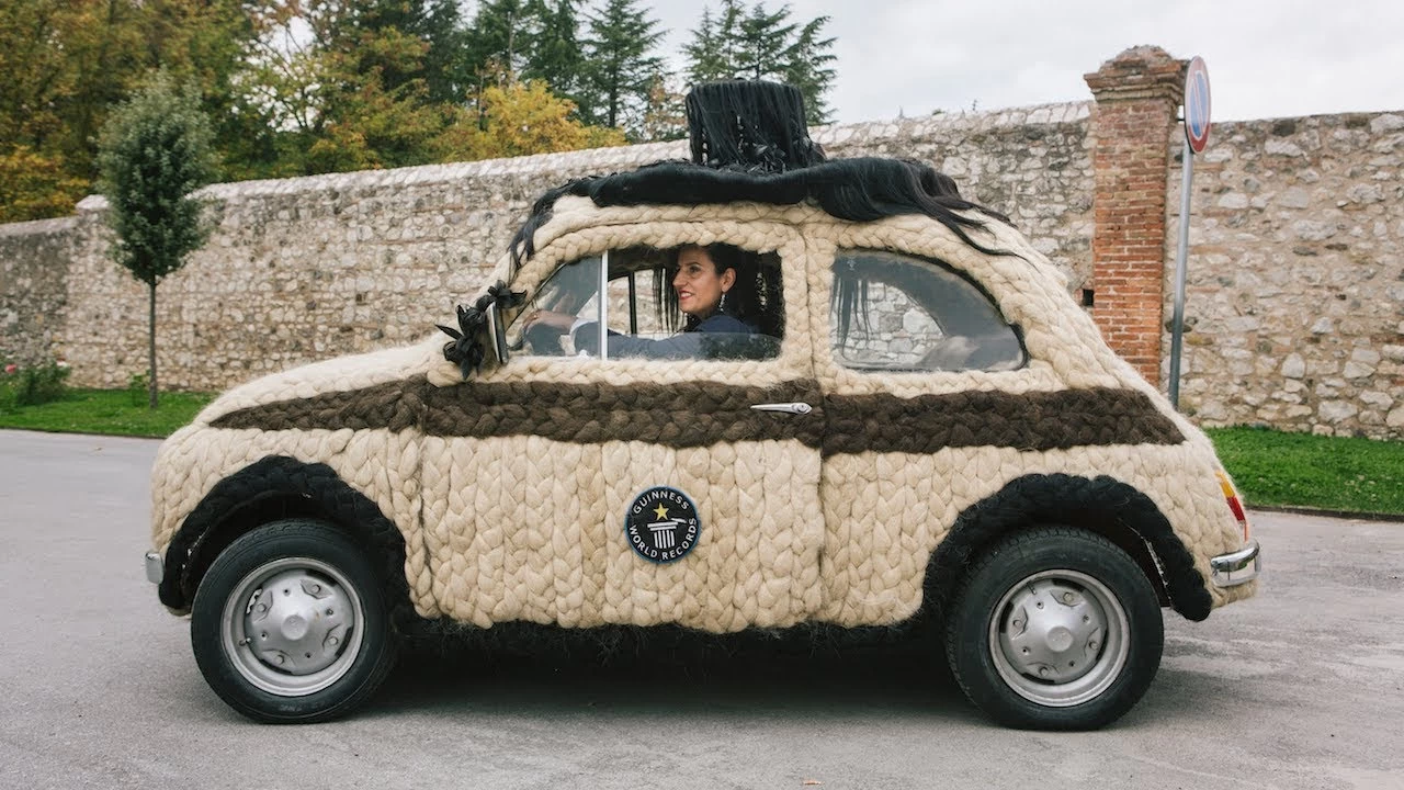 This Fiat 500 is the hairest car in the world