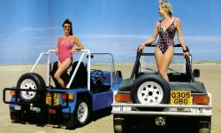 AMC Cub