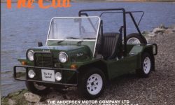 AMC Cub