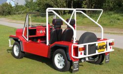 AMC Cub