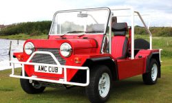 AMC Cub