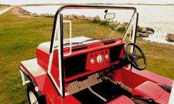 AMC Cub
