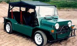 AMC Cub