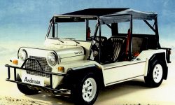AMC Cub