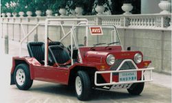 AMC Cub