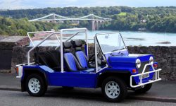 AMC Cub