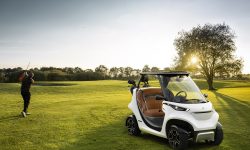 Mercedes Garia Golf Cart