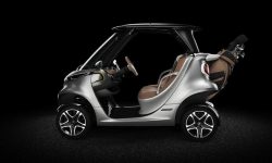 Mercedes Garia Golf Cart
