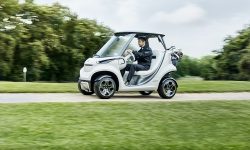 Mercedes Garia Golf Cart