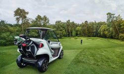 Mercedes Garia Golf Cart