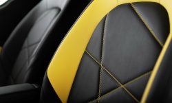 Smart ForTwo ‘21’ Final Collector’s Edition