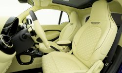 Mansory Smart ForTwo Interior
