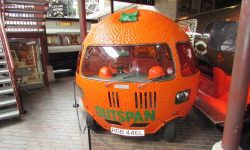 Mini Outspan Orange