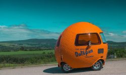 Mini Outspan Orange