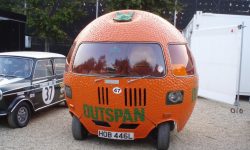 Mini Outspan Orange