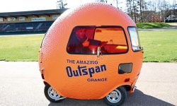Mini Outspan Orange