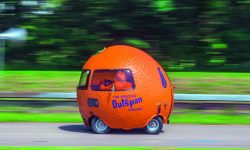 Mini Outspan Orange