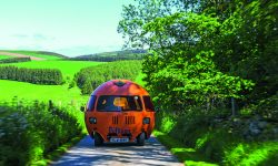 Mini Outspan Orange