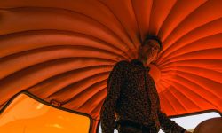 Mini Outspan Orange