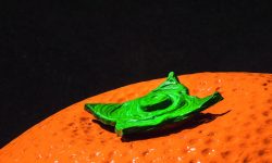 Mini Outspan Orange