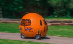 Mini Outspan Orange