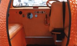 Mini Outspan Orange
