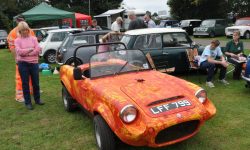 Berkeley Bandini