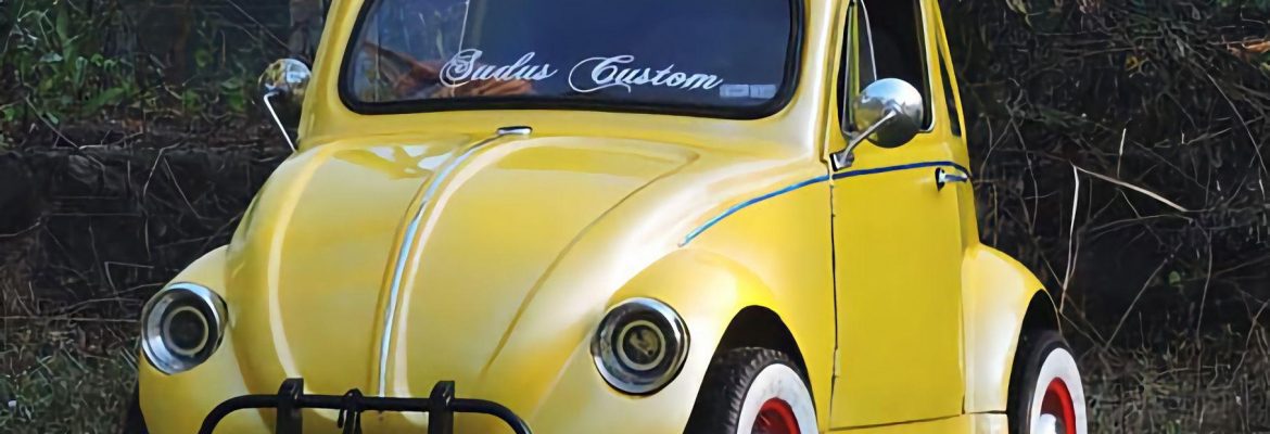 Home-built Volkswagen Beetle from India