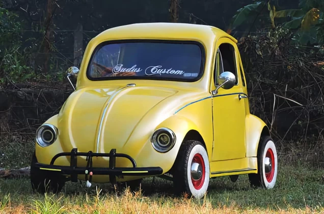 9175 A mechanic from India assembled a Volkswagen Beetle from photographs – photo 1