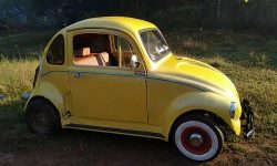 Home-built Volkswagen Beetle from India