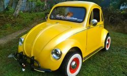 Citroen Ami