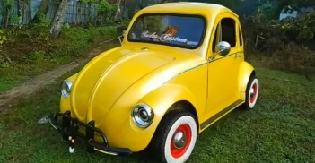 9177 A mechanic from India assembled a Volkswagen Beetle from photographs – photo 2