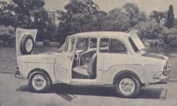 Isard Royal T 700