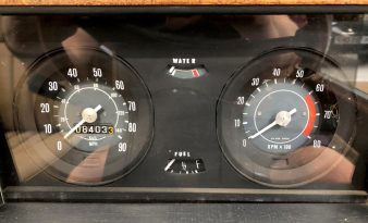 1981-Hustler-4-wood-speedo