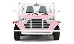 Moke