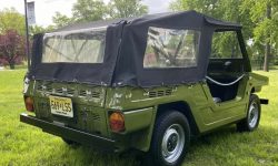 Fiat 600 Savio Jungla