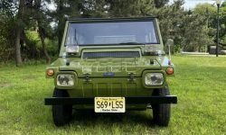 Fiat 600 Savio Jungla