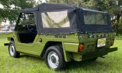 Fiat 600 Savio Jungla