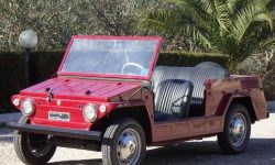 Fiat 600 Savio Jungla