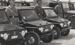Fiat 600 Savio Jungla