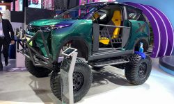 Chery Little Ant Pro