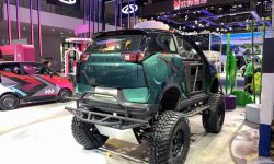 Chery Little Ant Pro