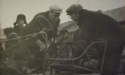 Veterok