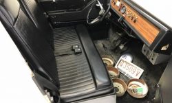 Sebring-Vanguard Citicar