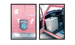 Cummins Ice Cream Vans