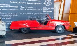 Bambino Sport