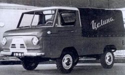 NAMI 049A 'Celina'