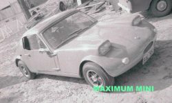 Bulanti Mini