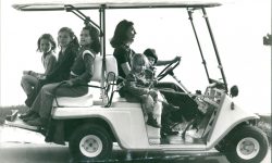 Melex 212